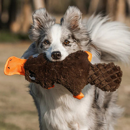 Juguete para perro Teddy Guard Fuerte