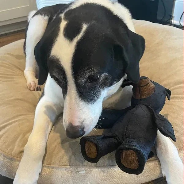 Divertido juguete de peluche con sonido para perros