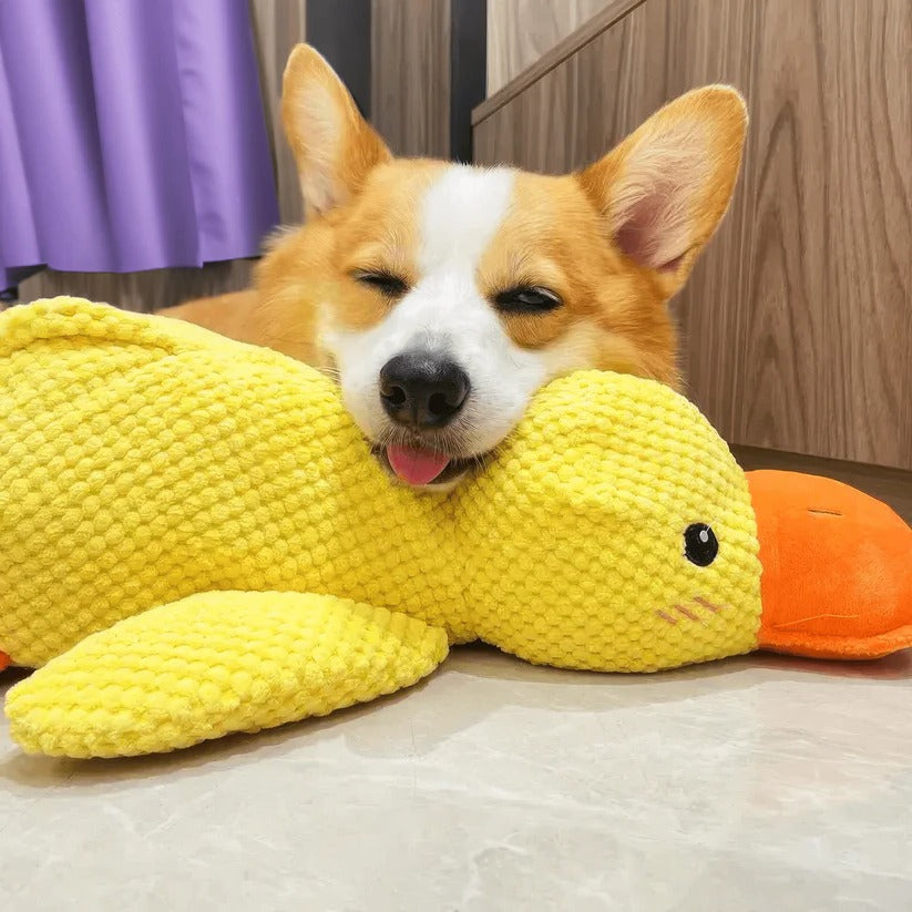 Juguete de perro de pato de goma duradero con chirriador