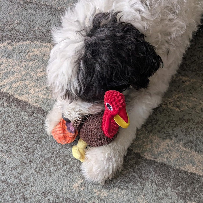 Juguete para perro Teddy Guard Fuerte