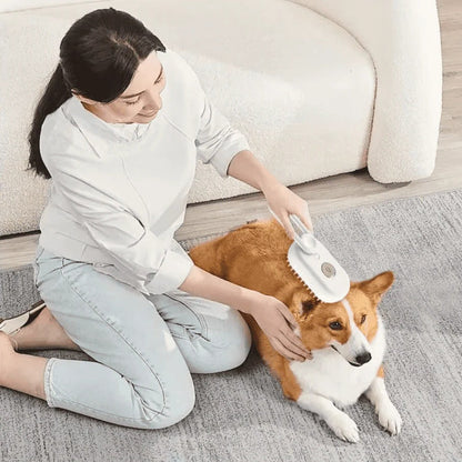 Kit de peluquería para mascotas con vapor y herramienta desenredante