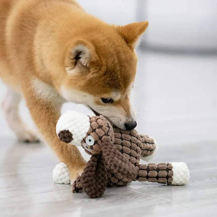 Juguete Interactivo Duradero para Mascotas