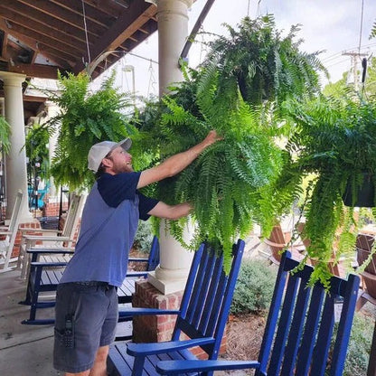 Decoración de planta de helecho verde realista para exteriores