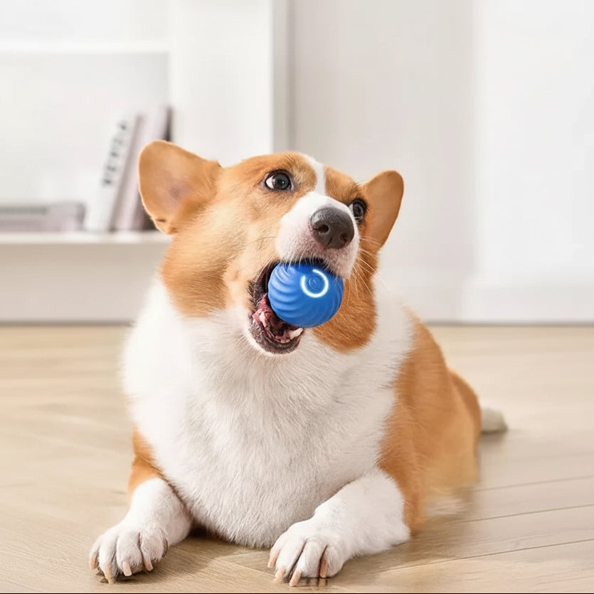 Fun Remote Control Rolling Ball Toy - Ortekor