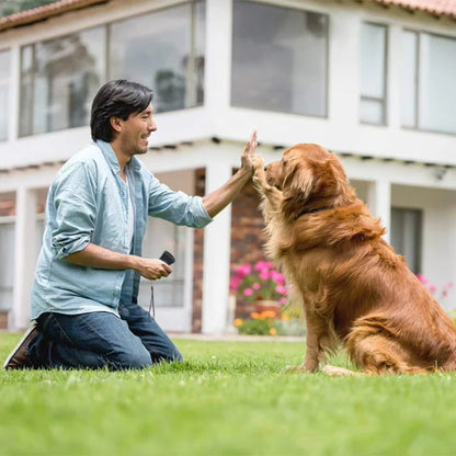 Herramienta de adiestramiento eficaz para controlar los ladridos del perro