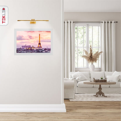 LED Picture Light Fixture 25 in Aluminum Artwork Display Bar for Paintings Frames Mirrors Warm White 8W Adjustable Accent Lighting for Galle