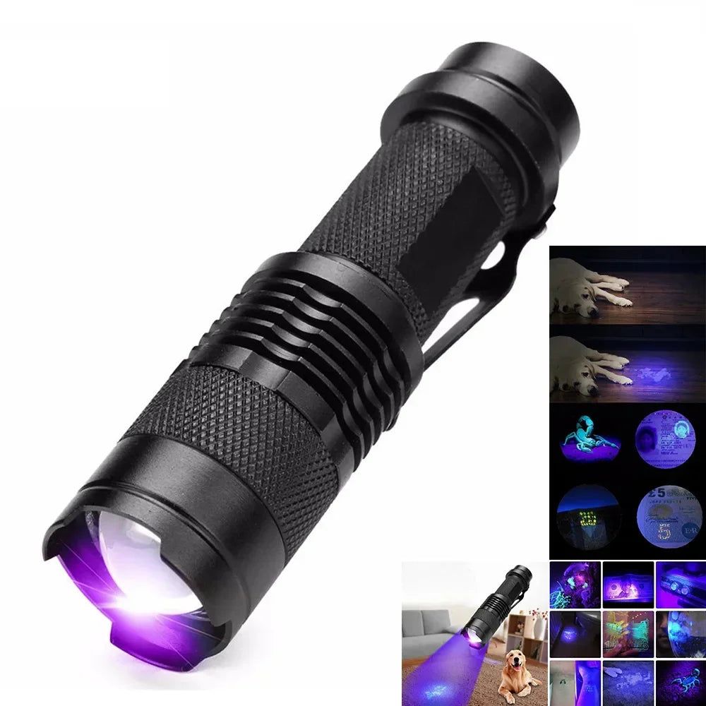 Compact UV Flashlight | LED Inspection Lamp for Stain Detection | Portable Tool for Home Cleaning