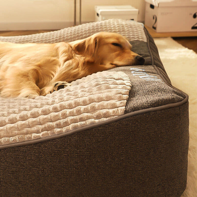Orthopedic Dog Bed with Raised Pillow Support for Joint Relief and Better Sleep