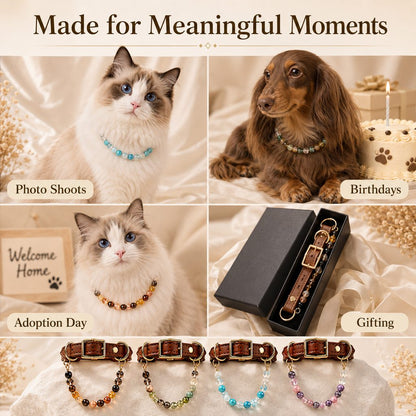 Ortekor Four Elements Crystal Pet Collar Gift Box for Cats & Small Dogs - Photo-Ready Astrology Pet Jewelry for Birthdays, Holidays & Meaningful Pet Gifts