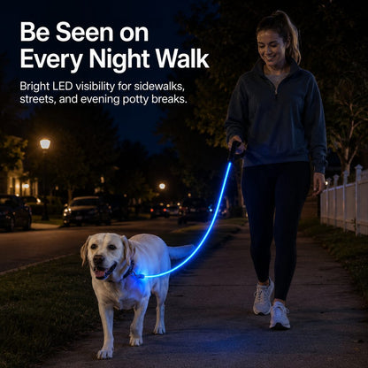 Ortekor NightGlow LED Light-Up Dog Leash for Night Walks - USB Rechargeable Safety Leash That Helps Your Dog Stay Visible in the Dark
