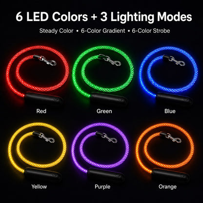 Ortekor NightGlow LED Light-Up Dog Leash for Night Walks - USB Rechargeable Safety Leash That Helps Your Dog Stay Visible in the Dark