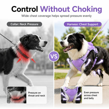 Ortekor No-Pull Reflective Dog Harness with Built-In Retractable Leash for Safer Daily Walks