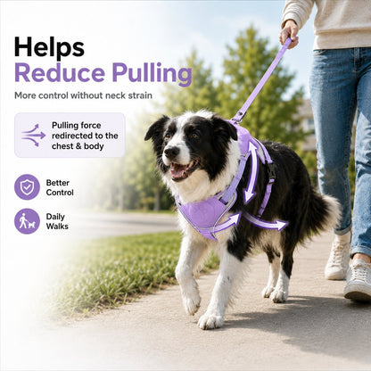 Ortekor No-Pull Reflective Dog Harness with Built-In Retractable Leash for Safer Daily Walks