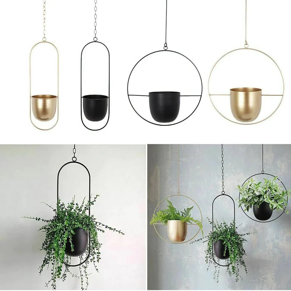 Wall-Mount Planter Pot with Circular Metal Frame for Indoor Outdoor Plants, Herbs & Succulents in Living Room, Kitchen