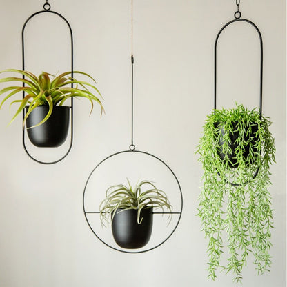 Wall-Mount Planter Pot with Circular Metal Frame for Indoor Outdoor Plants, Herbs & Succulents in Living Room, Kitchen