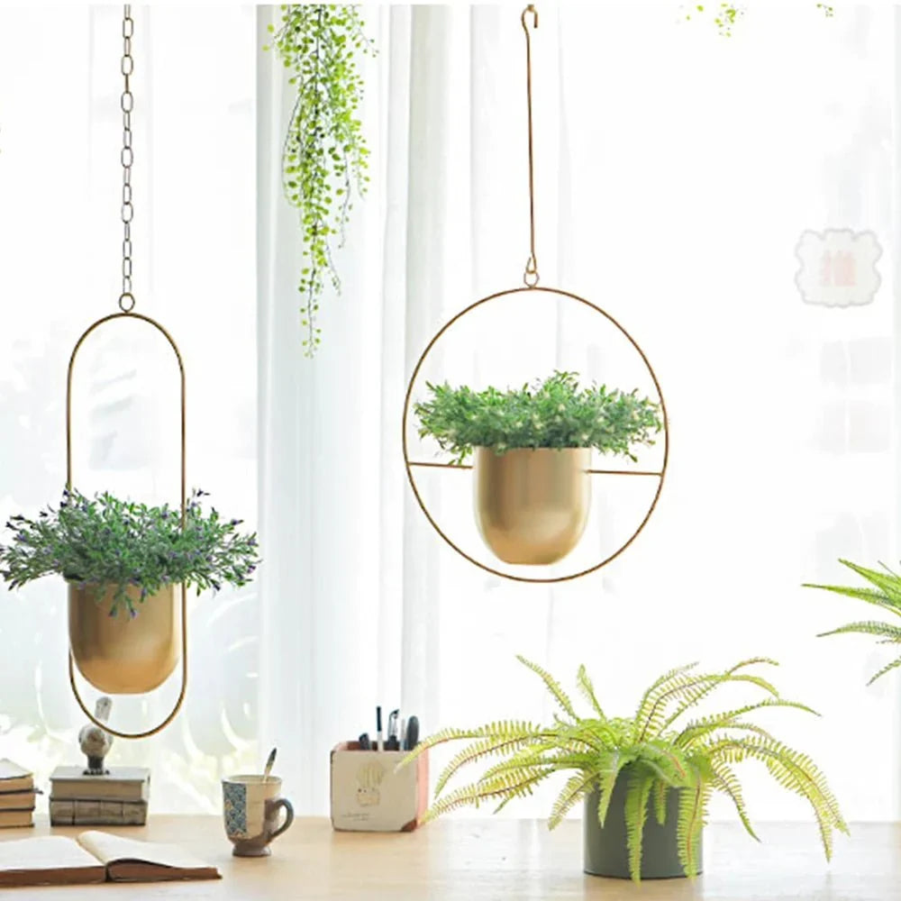 Wall-Mount Planter Pot with Circular Metal Frame for Indoor Outdoor Plants, Herbs & Succulents in Living Room, Kitchen