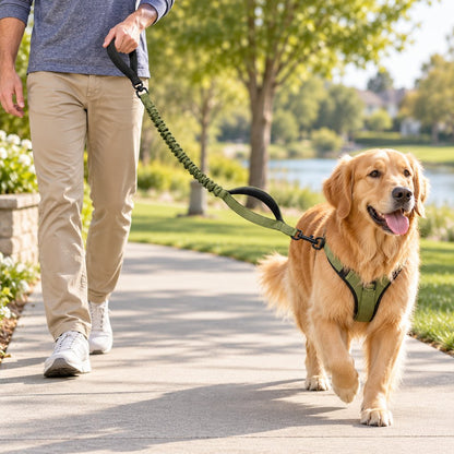 Ortekor Dual Handle Shock-Absorbing Bungee Dog Leash for City Walks, Jogging & Hiking - Softer Pulls, Quick Close Control