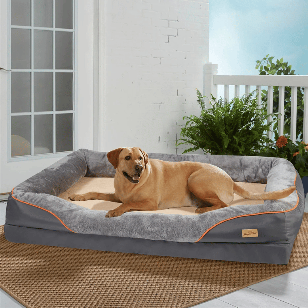 Cama premium para perros con soporte articular y núcleo de espuma de alta densidad para cachorros grandes: tumbona para mascotas extra grande con refuerzo acolchado y funda extraíble y lavable