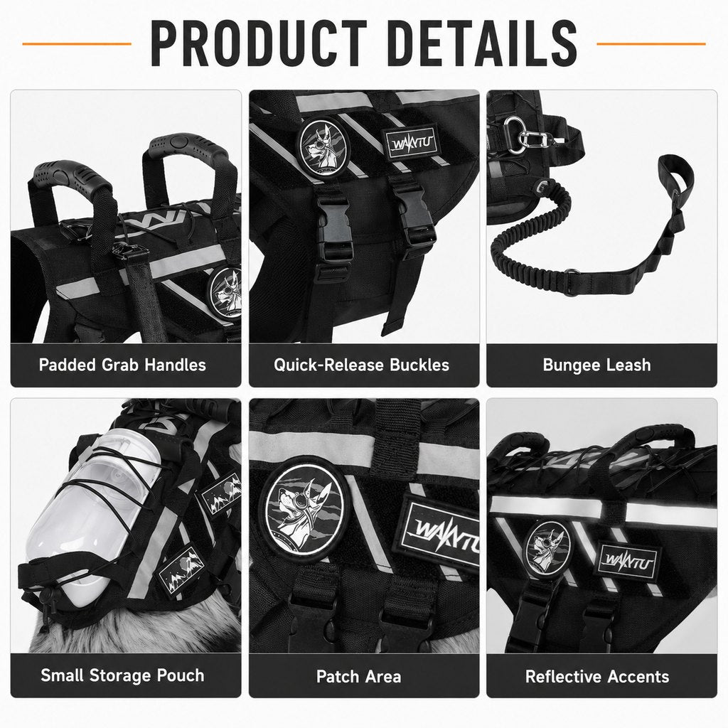 Ortekor Outdoor Dog Harness & Bungee Leash Set with Dual Handles, Storage Pouch & Patch Accessories for Hiking, Walking and Everyday Adventures