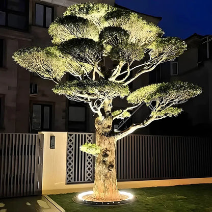 Outdoor Ground Spotlight for Trees & Landscape Uplighting – LED Solar-Powered Garden Accent Light