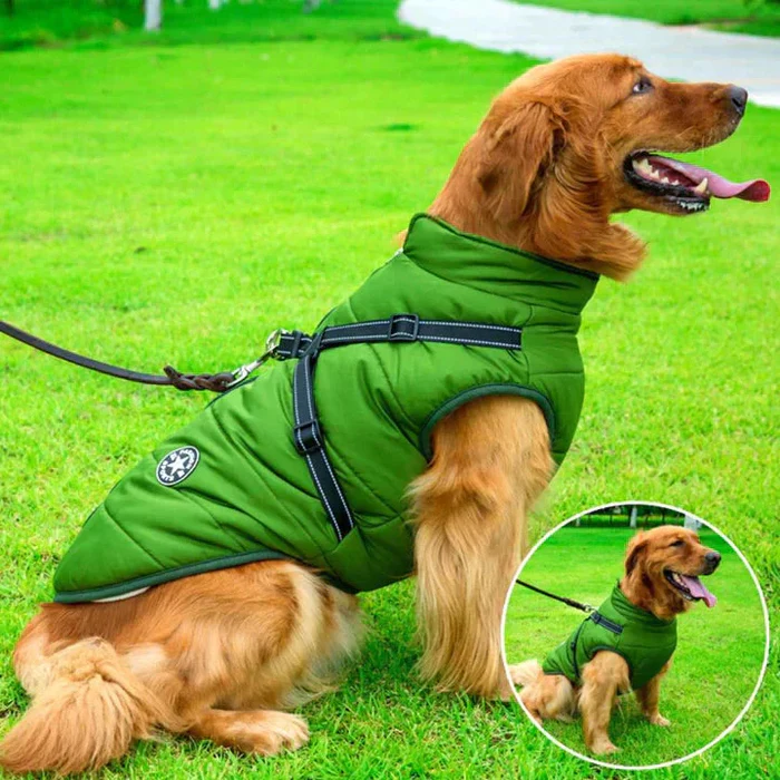 Cold-Weather Dog Coat with Fleece Lining & Leash Attachment — Weatherproof Outerwear for Active Pups, All Breeds, Reflective Safety Trim