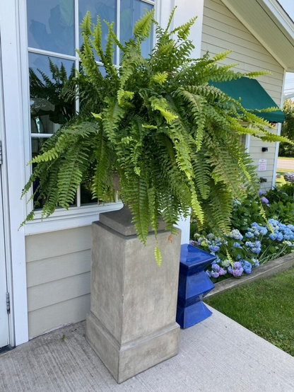 UV-Protected Synthetic Boston Fern Hanging Plant 28 Inches Wide Green Foliage for Porch Patio Indoor Outdoor Home Decor No Watering Needed