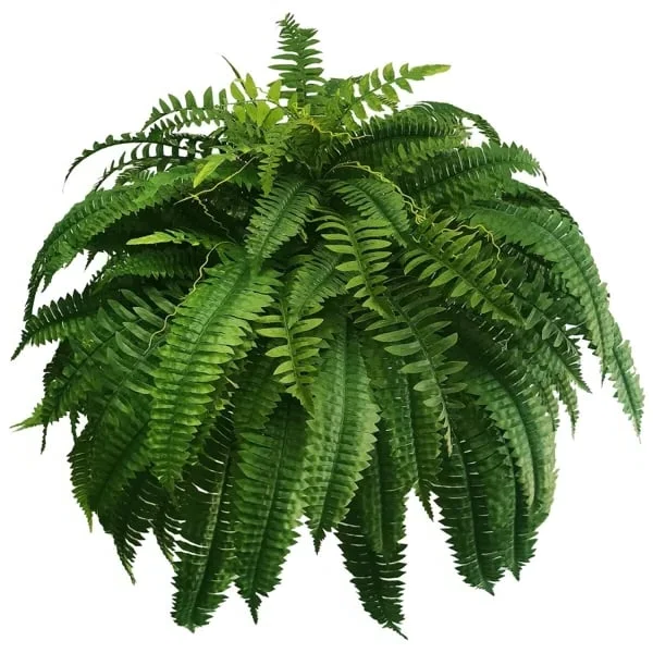 Hanging Faux Fern Plant Set – UV-Proof Outdoor Greenery 18-Piece Waterproof Vine Bundle for Patio Pergola Fence Garden Porch Decor Indoor