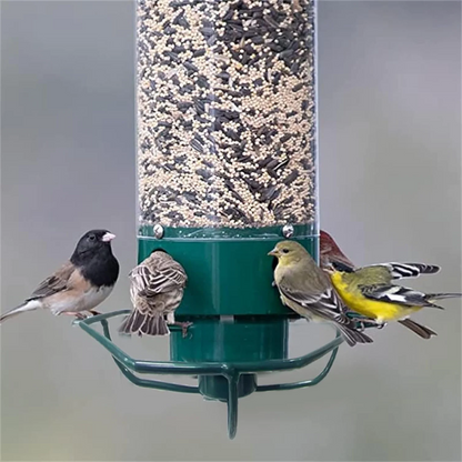 Durable Outdoor Seed Dispenser – Squirrel-Resistant Bird Feeder