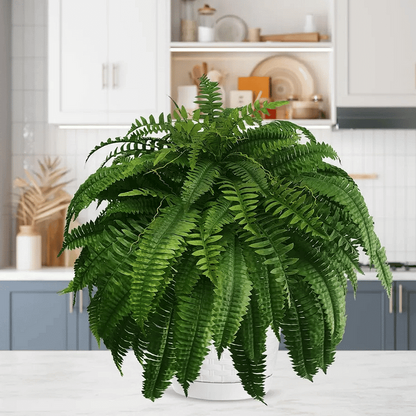 Artificial Boston Fern for Outdoor Use – UV-Resistant Patio Decoration