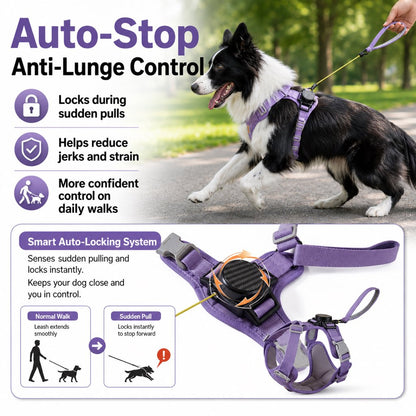 Ortekor 2-in-1 Retractable Dog Harness for Daily Walks - Built-In Leash Vest with Auto-Stop Control for Small & Medium Dogs
