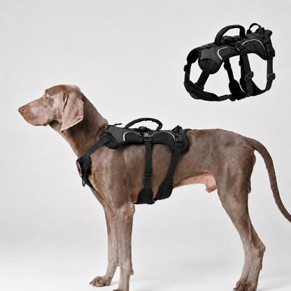 Ortekor AirTag-Compatible Escape-Resistant Dog Harness for Outdoor Walks - Secure Control for Dogs That Pull