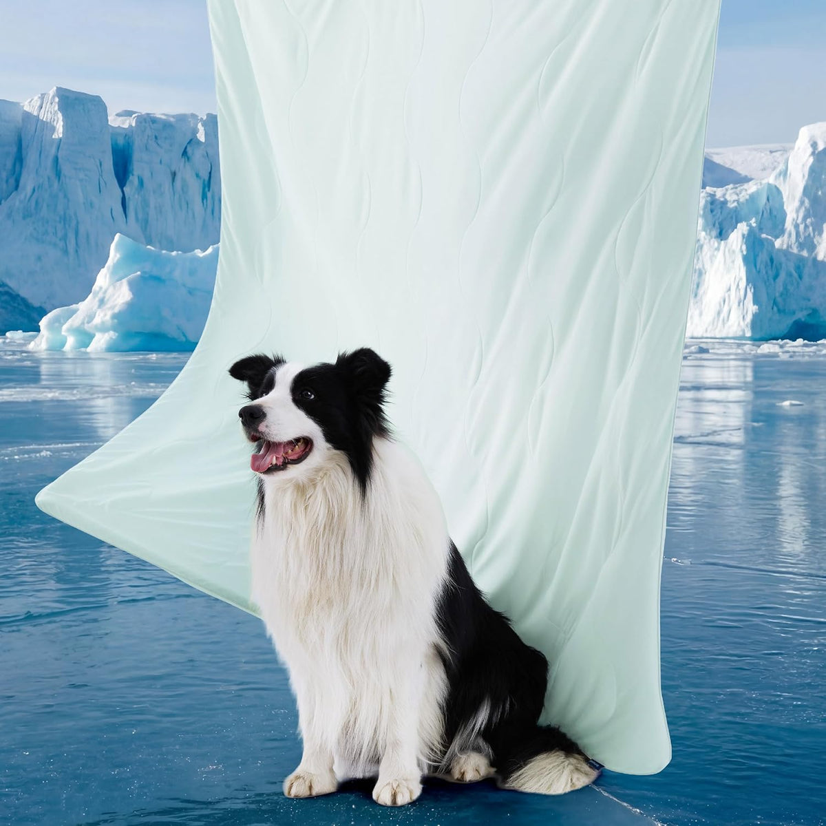 Cozy Paws | Manta refrescante para perros grandes con relleno de núcleo de aire transpirable | Alfombrilla ligera y lavable para perros para mayor comodidad en verano