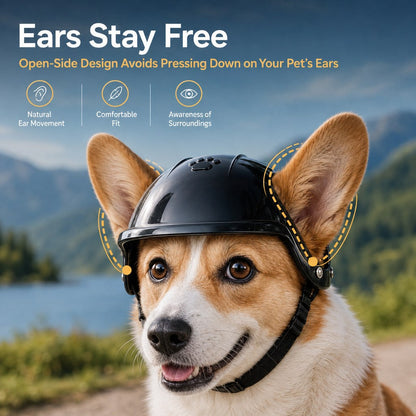 Ortekor Lightweight Pet Protective Helmet for Car Rides & Outdoor Adventures - Adjustable Open-Ear Head Guard for Cats & Small Dogs
