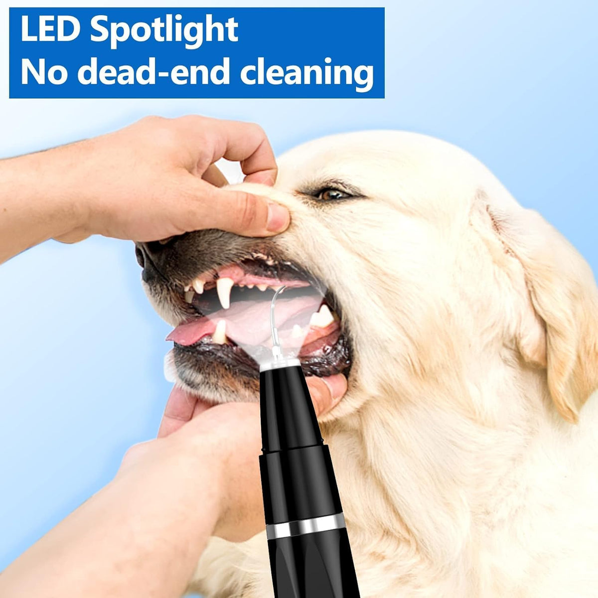 Kit de limpieza dental para perros y gatos: eliminador ultrasónico de placa y sarro