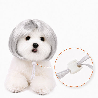 Ortekor Funny Short Bob Pet Wig for Photos & Parties - Easy Costume Prop for Cats & Small Dogs