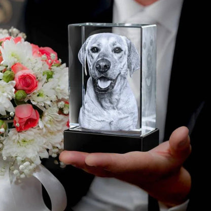 Marco de fotos de cristal personalizable para conmemorar a mascotas