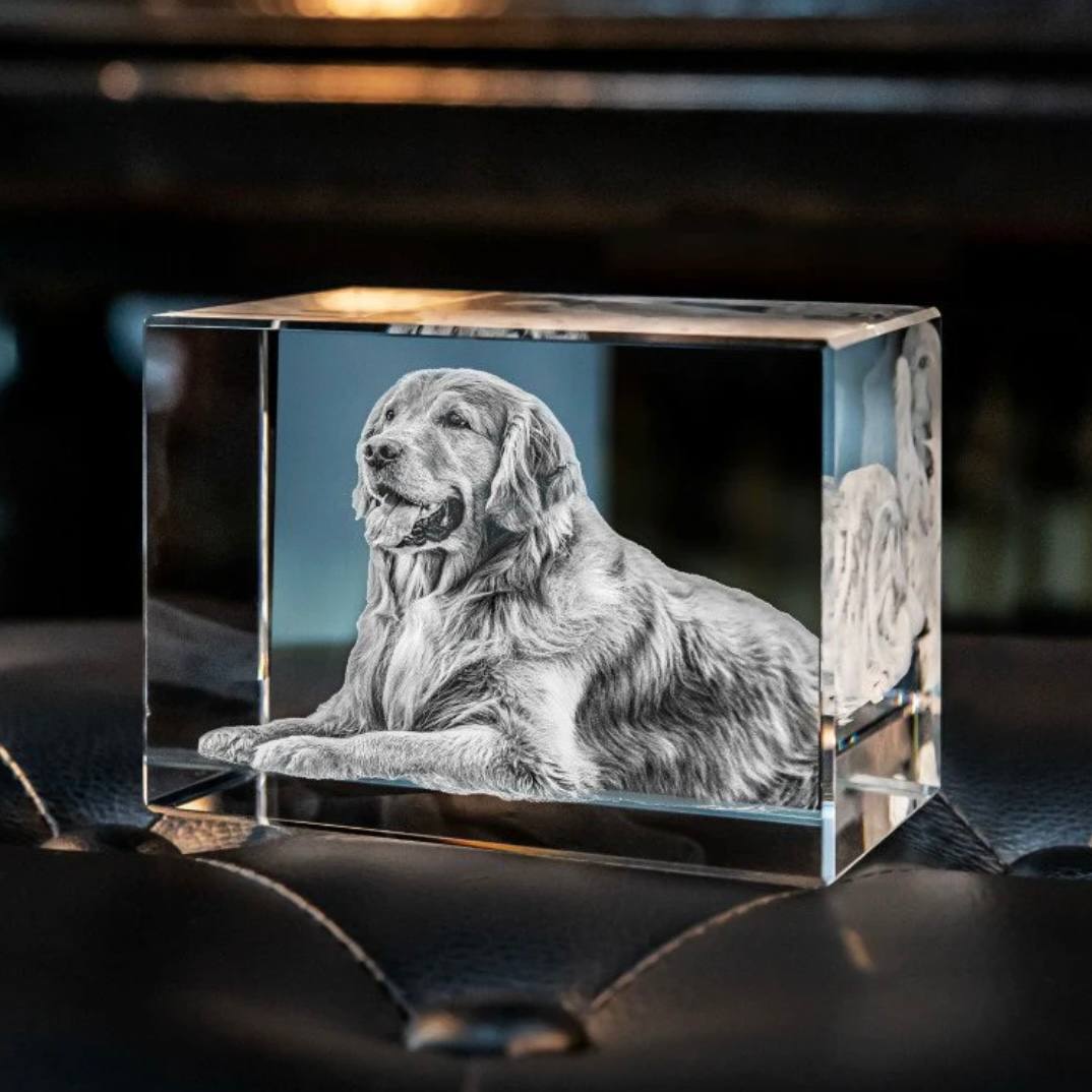 Marco de fotos de cristal personalizable para conmemorar a mascotas