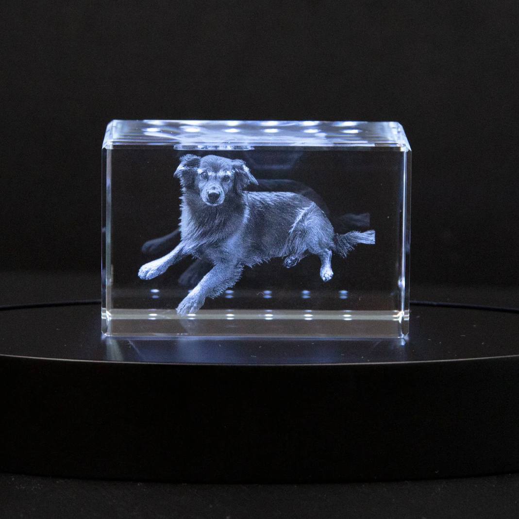Marco de fotos de cristal personalizable para conmemorar a mascotas