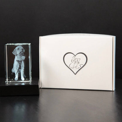 Marco de fotos de cristal personalizable para conmemorar a mascotas