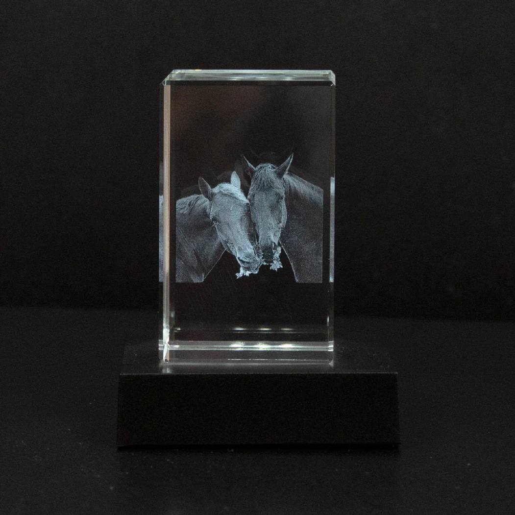 Marco de fotos de cristal personalizable para conmemorar a mascotas
