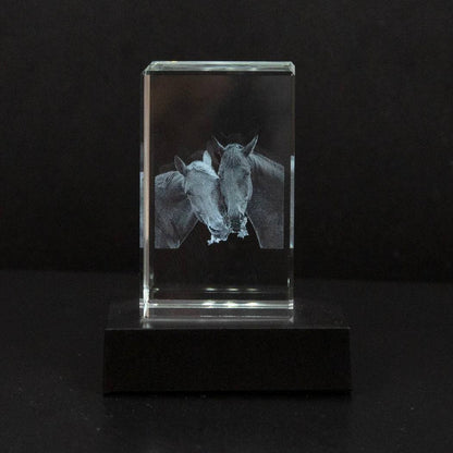 Marco de fotos de cristal personalizable para conmemorar a mascotas