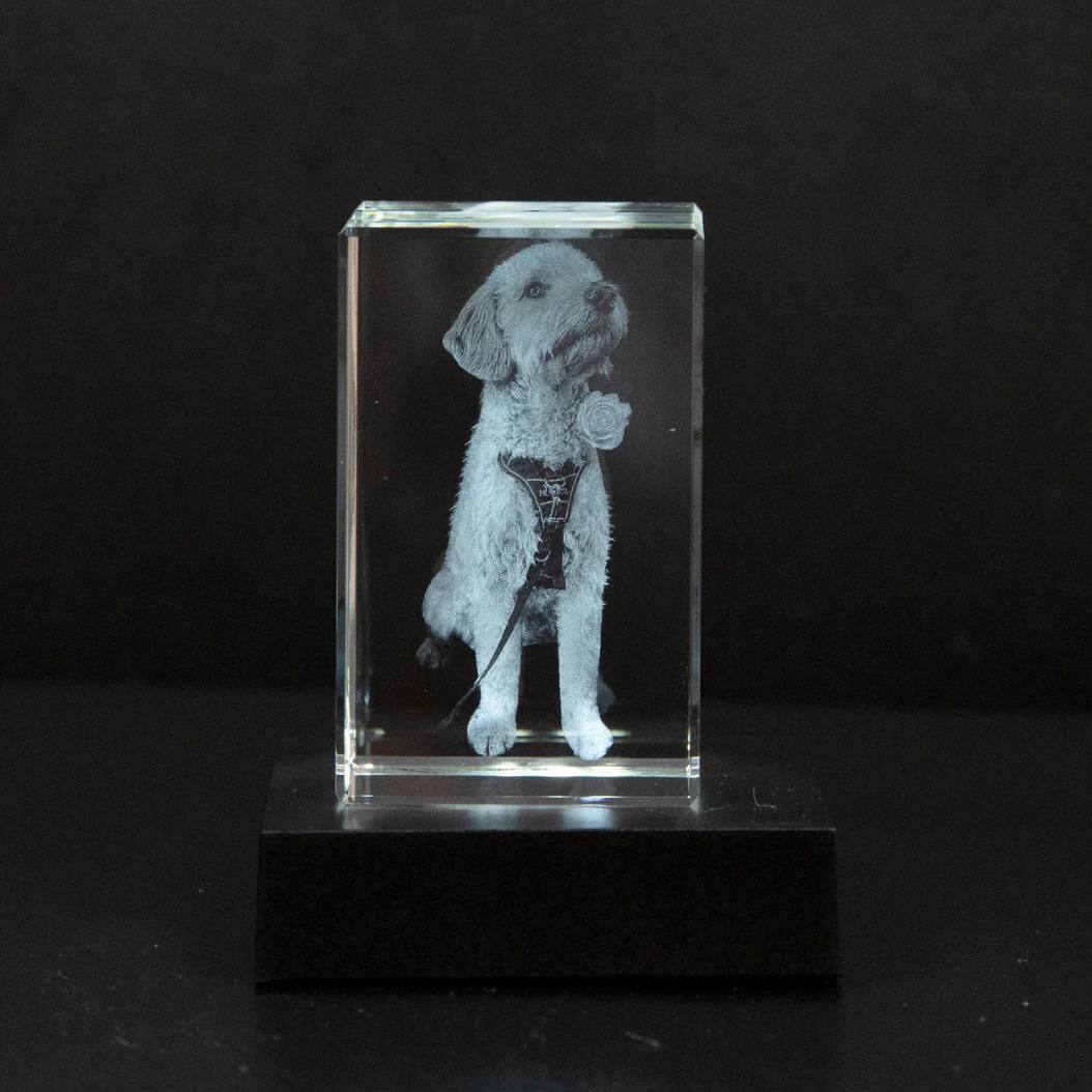 Marco de fotos de cristal personalizable para conmemorar a mascotas