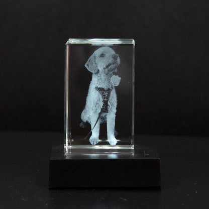 Marco de fotos de cristal personalizable para conmemorar a mascotas