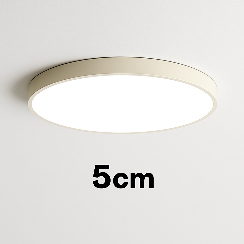 Flush Mount LED Fixture Round Iron Frosted Diffuser Adjustable Brightness Black White Overhead Lighting for Home Office Bedroom Kitchen 24 i