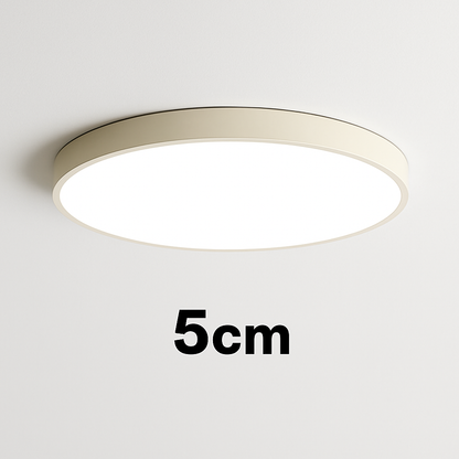 Flush Mount LED Fixture Round Iron Frosted Diffuser Adjustable Brightness Black White Overhead Lighting for Home Office Bedroom Kitchen 24 i