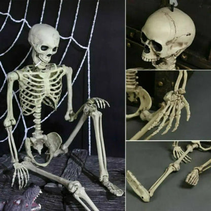 Articulated Halloween Skeleton Figure – Life-Size Posable Bone Decoration for Spooky Scenes & Haunted House Displays