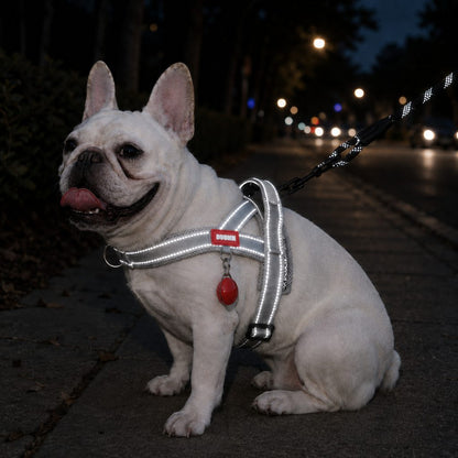 Ortekor No-Choke French Bulldog Harness & Leash Set for Daily Walks - Reflective, Easy-Control Fit for Broad-Chest Dogs