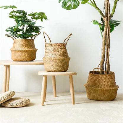 Artisan Rattan Planter or Storage Basket with Handles
