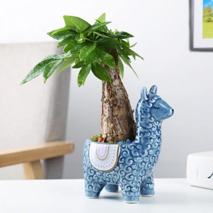Alpaca Pottery Succulent Planter