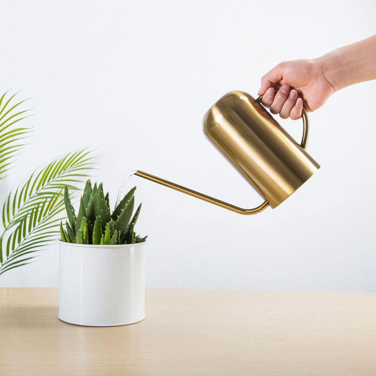 SteelBloom Watering Can